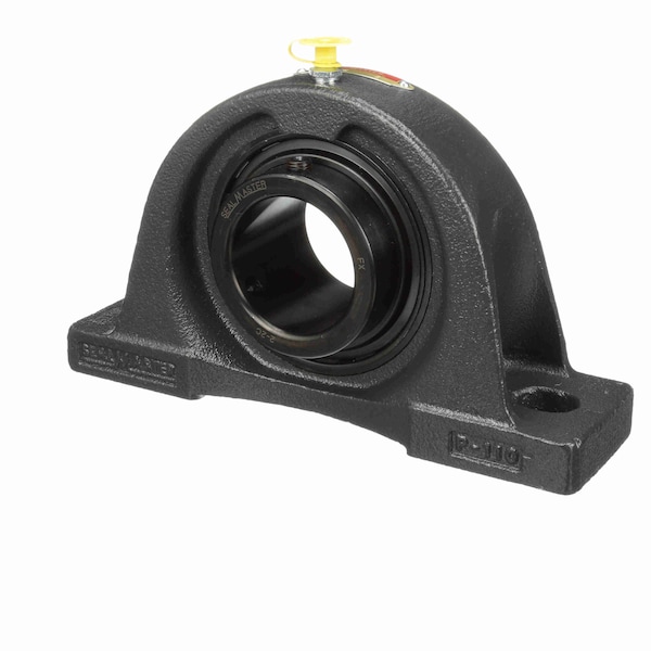 Mounted Cast Iron Two Bolt Pillow Block Ball Bearing, NP-32C